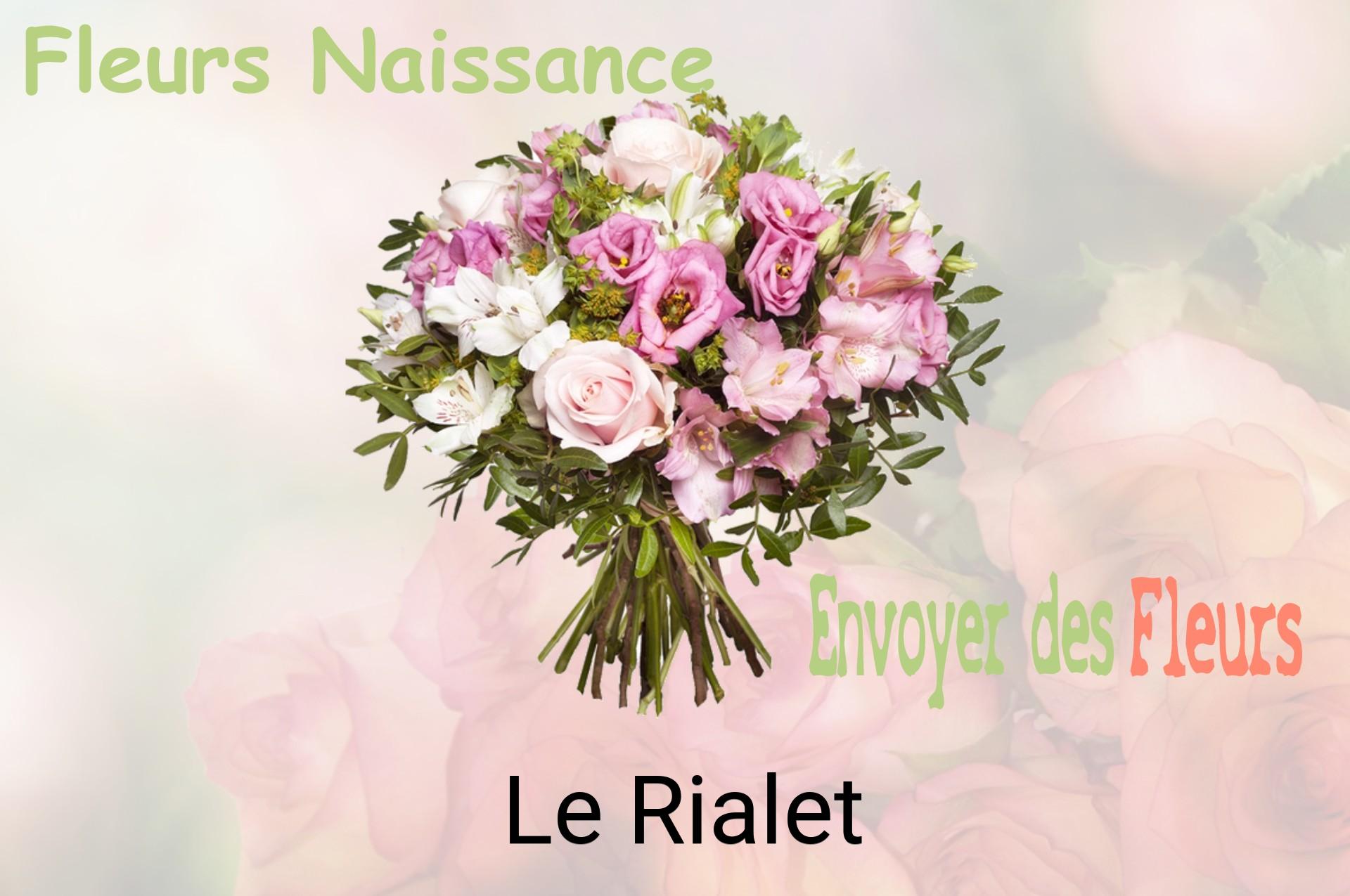 Bouquet de fleurs de naissance livré à Le Rialet